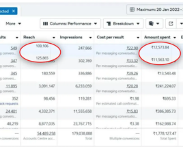 Case study screenshot — High ROAS, Low Costs, Maximum Impact