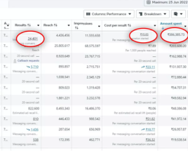 Case study screenshot — Scaling Brands With Performance-Driven Ads